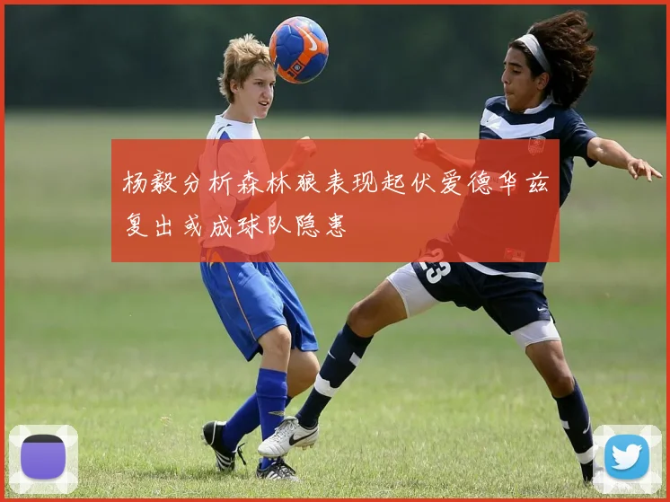 杨毅分析森林狼表现起伏爱德华兹复出或成球队隐患