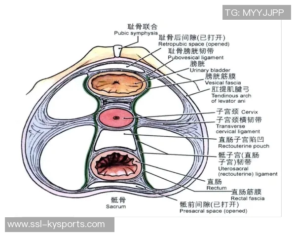 医生解析耻骨炎对亚马尔的影响及其过度使用损伤的成因与后果